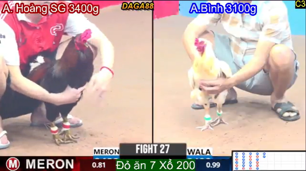 Đá Gà Trực Tiếp