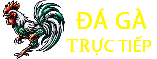 Đá Gà Trực Tiếp Thomo – Đá Gà Cựa Dao